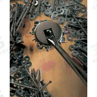 APPROVED VENDOR Magnetic Retrieval Tool: Mag. Typ. Neodymium, Shft. Typ. Fixed (MPN 3LJY4). Key specifications — attr1016165: Neodymium; attr1016172: Magnetic Retrieval Tool; attr1004943: APPROVED VENDOR; attr1016174: Fixed; attr1016161: Magnet; attr1022588: 60 lb +.