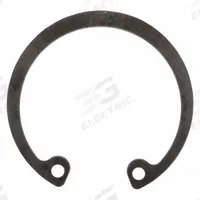 DAYTON Snap-Ring: Fits Dayton Brand, For 5PXX8, For PPTPXX814G