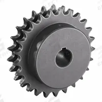 TRITAN Roller Chain Sprocket: 50-2, For 5/8 in Chain Pitch, 1 in Bore Dia, 25 Teeth, Steel (MPN D50BS25H X 1). Key specifications — attr85386: TRITAN.