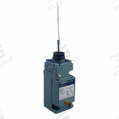 TELEMECANIQUE SENSORS Plug-In Limit Switch: Cat Whisker, 2 Mounting Holes, Zinc - Spring Wire-Extension Wobble-Stick Limit Switches