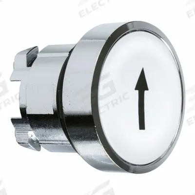 SCHNEIDER Flush Push Button: 22 mm Mounting Size, Metallic - Flush-Mount & Recessed Push-Button Operators
