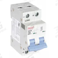DAYTON IEC Supplementary Protector: 20 A Amps, 440V DC, 10kA at 440V DC, Screw Clamp, NDB2Z-63 C20/2 (MPN 5MLD8). Key specifications — Terminal Connection: Screw Clamp; AC Voltage Rating: Not Rated; Curve Type: C; DC Voltage Rating: 440V DC; Max. AIR Rating: 10kA at 440V DC; Series: NDB2Z-63 C20/2; Brand: DAYTON.