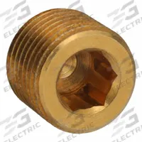 LEGRIS Plug: Cored Plug, C36000 Brass, 1/8 in, BSPT Threaded, 3,626 psi, 5/16 in Lg (MPN 0205 10 00). Key specifications — Maximum Operating Pressure: 3,626 psi.