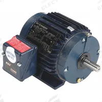 LEESON General Purpose Motor: Rigid Base Mount, Totally Enclosed Non-Ventilated, 1 1/2 hp, 1,755 RPM (MPN 145TTTN16631). Key specifications — Brand: LEESON; Nameplate Voltage @ 60 Hz: 230/460V AC; Full Load Current @ 60 Hz: 4.6/2.3 A; Nameplate RPM @ 60 Hz: 1,755 RPM; Motor Enclosure: TENV.