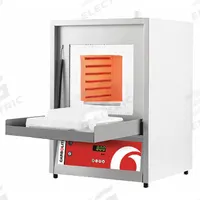 CARBOLITE Box Furnace: Gravity, 0.81 cu ft Capacity, 1,100°C Max Temp, 5,000 W Watt, +/-5°C, 1,100°C (MPN ELF1123-230SN). Key specifications — attr1027180: CARBOLITE; attr1027172: +/-5°C.