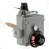 RHEEM Gas Control Thermostat: Natural Gas, SP14270G