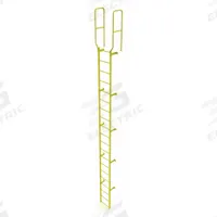 TRI-ARC Ladder,Walk-Thru Fixed,Steel,20-Rung: 23 ft Overall Ht, 28 in Overall Wd, Steel, 20 Rungs (MPN WLFS0220-Y). Key specifications — Brand: TRI-ARC; Number of Sections: 1.