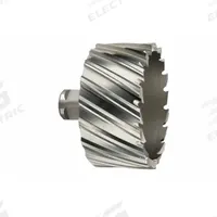 SLUGGER BY FEIN Annular Cutter: 3 in Cutter Dia, 1 in Max Cutting Dp, Bright, High Speed Steel (MPN 63134762001). Key specifications — attr253884: No; attr253885: Bright; attr253886: High Speed Steel; attr253887: Weldon Flat; attr253888: Fractional Inch; attr277149: SLUGGER BY FEIN.