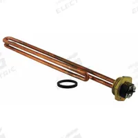 RHEEM Element, 5500W: SP10698PH