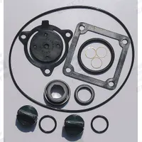 APPROVED VENDOR Seal Kit: Mfr Part # 24D047, Dayton. Key specifications — Includes: Mechanical Seal; Product Type: Seal Kit; Manufacturer Part Number: 24D047.