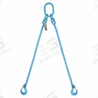 PEWAG Chain Sling: 3/8 in Chain Trade Size, 120 Chain Grade, Sling Hook, Steel, Fixed, 5 ft Sling Lg (MPN 10G120DOS/5). Key specifications — Brand: PEWAG.