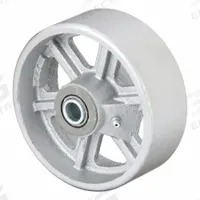 ALBION Caster Wheel: 5 in Wheel Dia., 2 in Wheel Wd, Iron, 1,300 lb Load Rating, 2 3/16 in Hub Lg (MPN CA0520112). Key specifications — Includes Spanner Bushing: Included; Wheel/Tread Material: Iron; Wheel/Tread Color: Silver; Brand: ALBION.