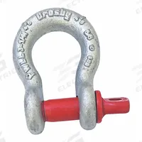 CROSBY Anchor Shackle: Anchor Shackle, 27,000 lb Working Load Limit, 3 5/8 in Compatible Sling Wd (MPN 1018598). Key specifications — Body Color: Silver; Brand: CROSBY.