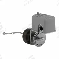 TELEMECANIQUE SENSORS Liquid Level Switch: Close On Rise, DPST-2NC, Steel (MPN 9037HG36LZ20). Key specifications — Brand: TELEMECANIQUE SENSORS; Electrical Connection Type: Screw Clamp; Float Rod Angle: 90°; Minimum Media Specific Gravity: 0.85.