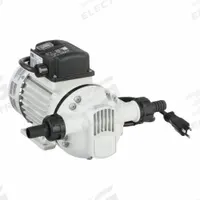 PIUSI Electric Drum Pump: 120 V AC, 67/100 hp HP, Nylon, 9 gpm Max. Flow Rate, Pump Only, 1 in BSP (MPN F0020310H). Key specifications — Brand: PIUSI; Meter: Not Included; Pump Kit Type: Pump Only.