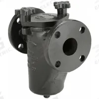 MUELLER STEAM SPECIALTY Basket Strainer: Cast Iron, 0.062 in Screen Size, Single, NPT, 4 in (MPN 21/2 125F). Key specifications — Brand: MUELLER STEAM SPECIALTY; Compatible Product Type: Water; Gasket Material: Buna-N; Screen Material: 304 Stainless Steel.