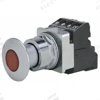 SIEMENS Mushroom Head Push Button: Illuminated, Mushroom Head Profile, Metallic, 30 mm, 1NO/1NC (MPN 52PP2E2AB). Key specifications — Brand: SIEMENS; Action: Maintained; Series: Class 52; Push Button Material Type: Metallic.