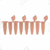 APPROVED VENDOR PCR Strip: PCR Strip, Polypropylene, 0.2 mL Capacity - mL, 0.01 fl oz Capacity - oz (MPN P3010-A-O). Key specifications — Brand: APPROVED VENDOR; Graduated: No; Closure Color: Orange; Includes: Attached Individual Flat Caps; Includes Closure: Yes; Body Color: Orange; Bottom Shape: Conical; Body Material: Polypropylene.