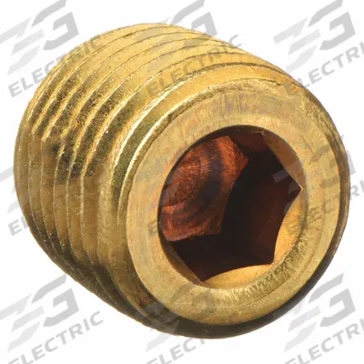 PARKER Plug: Hex Drive Cored Plug, 1/4 in, NPT Threaded, 1,000 psi, 15/32 in Lg - Threaded High-Pressure Pipe Fittings