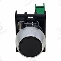 DAYTON Flush Push Button Operator: Non-Illuminated, Flush Profile, Metallic, 22 mm, 1NO (MPN GGS_116333). Key specifications — Brand: DAYTON; Action: Momentary; Push Button Material Type: Metallic.