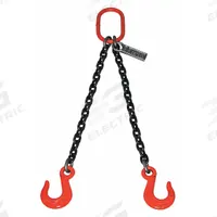 LIFT-ALL Double Leg Chain Sling: 7/32 in Chain Trade Size, 100 Chain Grade, Sling Hook, Alloy Steel (MPN 732DOSW10X14). Key specifications — attr994064: LIFT-ALL.