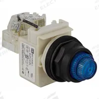 SCHNEIDER ELECTRIC Pilot Light: 30 mm Panel Mounting Size, Blue, LED, 9001SK Series (MPN 9001SKT35LLL31). Key specifications — Series: 9001SK; Brand: SCHNEIDER; Includes Push-To-Test: Push-To-Test Included.