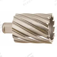 SLUGGER BY FEIN Annular Cutter: 2 13/16 in Cutter Dia, 2 in Max Cutting Dp, Bright, High Speed Steel (MPN 63134714002). Key specifications — attr253884: No; attr253885: Bright; attr253886: High Speed Steel; attr253887: Weldon Flat; attr253888: Fractional Inch; attr277149: SLUGGER BY FEIN.