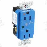 HUBBELL Receptacle: Duplex, 5-15, Blue, 125V AC, 15 A, 2 Pole / 3 Wire (MPN IG5262SA)