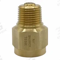 RAY Pressure Gauge Snubber: Brass, Filter, Brass NPT, 5,000 psi Max. Pressure, 0 Pistons, Oil/Water (MPN 723BE). Key specifications — Snubber Type: Filter; Connection Type: NPT; Brand: RAY; Material: Brass; Compatible Liquids and Gases: Water.