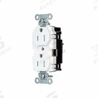 HUBBELL Receptacle: Duplex, 5-15, White, 125V AC, 15 A, 2 Pole / 3 Wire (MPN 5262STWTR)