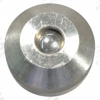 DAYTON Valve Assemblies: Fits Dayton Brand, For 6AWA5/6AWA6/6AWA7/6AWA8/6AWA9/6AWC0, For PPTWA502G