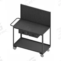 WESTWARD Mobile Workstation: 1,200 lb, 2 Shelves, Shelf Dim. 48 in L x 24 in W, Polyurethane (MPN RSC-2448-2-PB-2DR-95W). Key specifications — Brand: WESTWARD; Caster/Wheel Configuration: (2) Swivel with Brake; Handle Type: Flat.