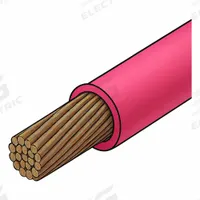 Building Wire: Copper, 10 AWG, 1 Conductors, Stranded, Pink, 1,000 ft Lg, THHN/THWN-2 (MPN WXP-6G-1001-12-1000). Key specifications — Voltage: 600 V; Brand: APPROVED VENDOR.