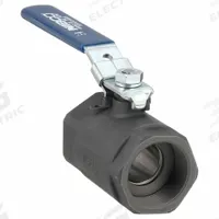 CHEMTROL Manual Two-Way Ball Valve: 2 in, Carbon Steel, Straight, FNPT x FNPT, Std Port Ball Port (MPN NL94T5D). Key specifications — Brand: CHEMTROL; Handle: Locking Lever.