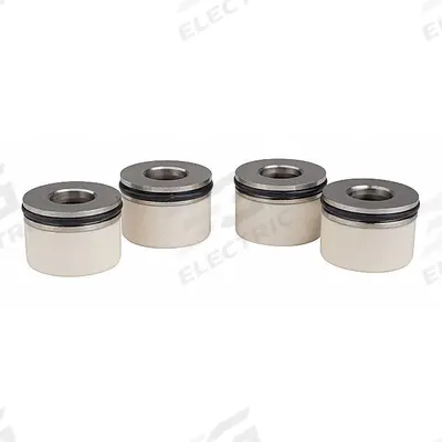 DAYTON Valve Assemblies: Fits Dayton Brand, For PPTWA322G, 4 PK - Pumps Parts