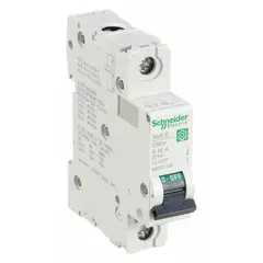 SCHNEIDER IEC Supplementary Protector: 45 A Amps, 60V DC, 10kA at 120/240V AC, Screw Clamp, C60SP, B (MPN M9F21145). Key specifications — Brand: SCHNEIDER; Terminal Connection: Screw Clamp; DC Voltage Rating: 60V DC; Max. AIR Rating: 10kA at 120/240V AC; Series: C60SP; AC Voltage Rating: 240/415V AC; Curve Type: B.