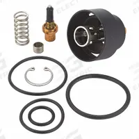 LEONARD VALVE Valve Repair Kit: Compatible with LV-981-A-LF Series Series, Stainless Steel (MPN KIT R/LV981). Key specifications — Compatible with Manufacturer Model Number: LV-981A-LF; Includes: Spring; Product Type: Valve Repair Kit; Manufacturer Part Number: KIT R/LV981.