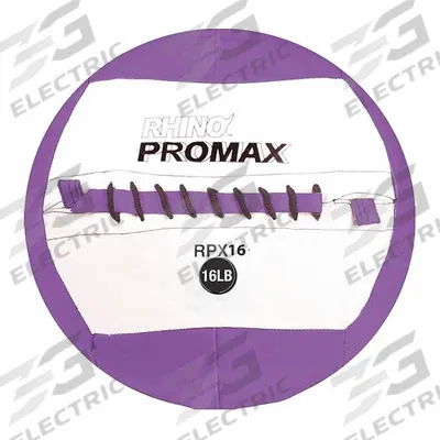 CHAMPION SPORTS Medicine Ball: 14 in Overall Dia, Purple - Slam Balls
