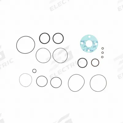 FILL-RITE Viton Seal Kit: Viton Seal Kit, Fill-Rite, (14) O-Rings/(2) Gaskets (MPN SK15VIT-V13) - Pumps