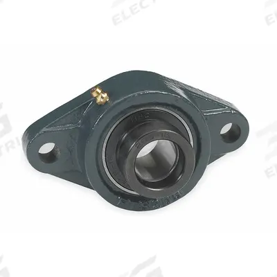 DAYTON 2 Bolt Flange Bearing: Radial Ball, 1 1/4 in Bore, Cast Iron, Eccentric Collar - General Purpose Flange-Mount Ball Bearings