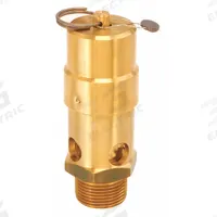 CONTROL DEVICES Air Safety Valve: Soft Seat, 1 in (M)NPT Inlet (In.), 75 psi Preset Setting (PSI) (MPN SW10-0A075). Key specifications — attr291993: Soft Seat; attr291998: Brass; attr292001: Silicone; attr292007: Lead; attr292009: Brass; attr294753: CONTROL DEVICES.