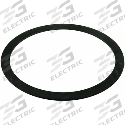 BALDWIN FILTERS Gasket: Fuel Filter, Gasket, Buna-N, 5/64 in Lg - Fuel Filter Accessories