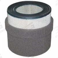 SOLBERG Filter Element: Paper, 9.62 in Overall Ht, 6 in Inside Dia, 9 3/4 in Outside Dia, 244P. Key specifications — attr59866: 244P; attr59869: SOLBERG; attr59875: 2EPT4.