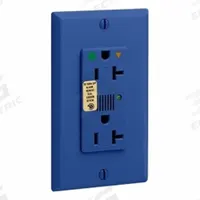 LEVITON Straight Blade Receptacle: Hospital Grade, Duplex, 5-20R, Blue, 125V AC, 20 A (MPN 8380-IGB)