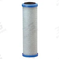 PENTAIR/PENTEK Water Filter Cartridge: 10 micron, Woven, 1 gpm, Carbon, 9 3/4 in Overall Ht (MPN 155634-75). Key specifications — Brand: PENTAIR/PENTEK; Filter Media: Carbon.