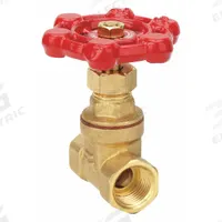APPROVED VENDOR Gate Valve: 1/2 in, Brass, Non-Rising, FNPT x FNPT, 200 psi Max. Pressure (CWP) (MPN 6TWJ8). Key specifications — Bonnet Material: Brass; Brand: APPROVED VENDOR; Wedge Material: Brass.