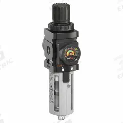 ARO Piggyback: Series 1000 Series, 1/4 in NPT, 47 scfm, 5 micron, 150 psi, 140 psig Max Op Pressure (MPN P39124-604). Key specifications — attr109419: ARO; attr109429: Aluminum; attr109463: Yes; attr109467: Nitrile; attr109468: Series 1000.