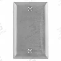 HUBBELL Wall Plate: Blank, 1 Gang, Silver, Std Size (MPN SS13). Key specifications — Brand: HUBBELL; Material: Stainless Steel.