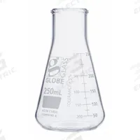 GLOBE SCIENTIFIC Erlenmeyer Flask: 250 mL, Colorless, Conical, A, 8 Compatible with Stopper Size (MPN 8410250). Key specifications — Shape: Conical; Body Color: Colorless; Brand: GLOBE SCIENTIFIC; Compatible with Stopper Size: 8; USP Specification: Type I.
