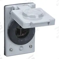 APPLETON ELECTRIC Weatherproof Cover with Receptacle: Single, 5-20, Gray, 125V AC, 20 A (MPN FSKJ5-20)